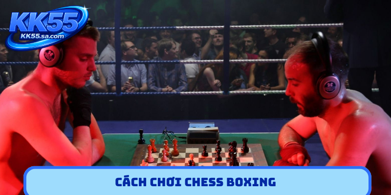 Cách chơi Chess Boxing