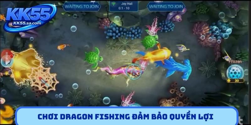 Chơi Dragon Fishing đảm bảo quyền lợi